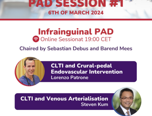 Retour sur la participation du Dr Sarradon à la Masterclass de la European Society for Vascular Surgery